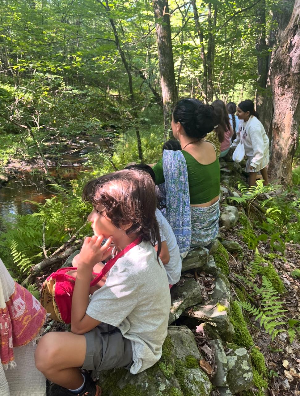 Forest exploration